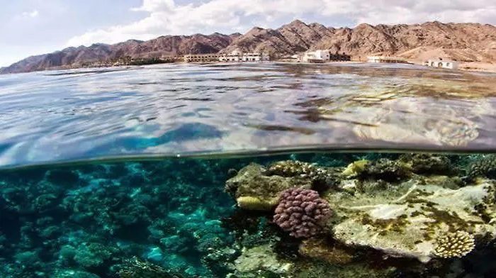 فندق Canyon Estate Kite & Dive دهب