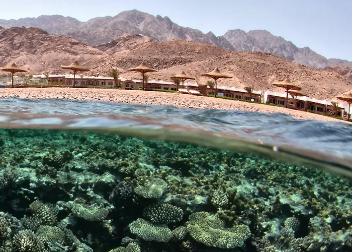 Canyon Estate Kite & Dive فندق دهب